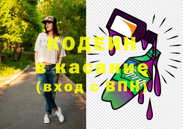 индика Михайлов