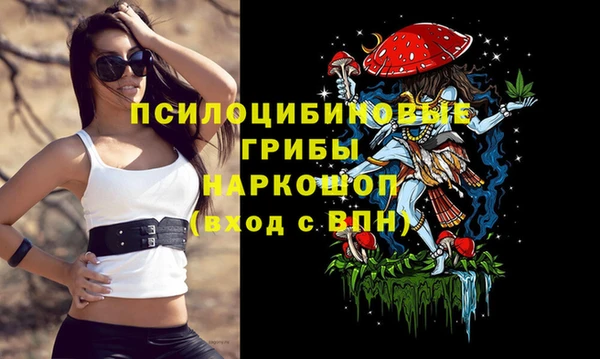 jwh Михайловка